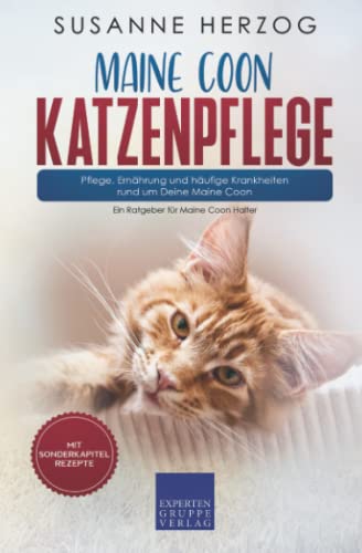 Maine Coon Katzenpflege – Pflege, Ernährung und häufige Krankheiten rund um Deine Maine Coon