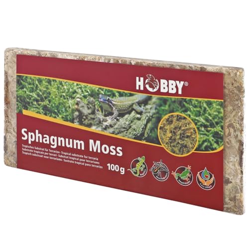 Spaghnum Moos für Terrarien