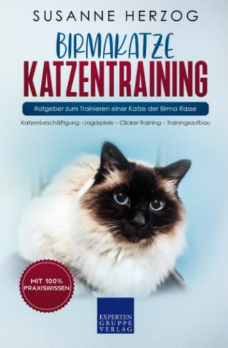 Birmakatze Katzentraining - Ratgeber zum Trainieren einer Katze der Birma Rasse