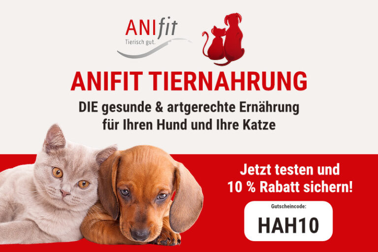 Haustier Portal de Der Haustierratgeber