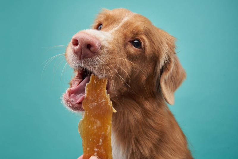 Bei der Einfuhr von Fleischprodukten kann es Beschränkungen geben