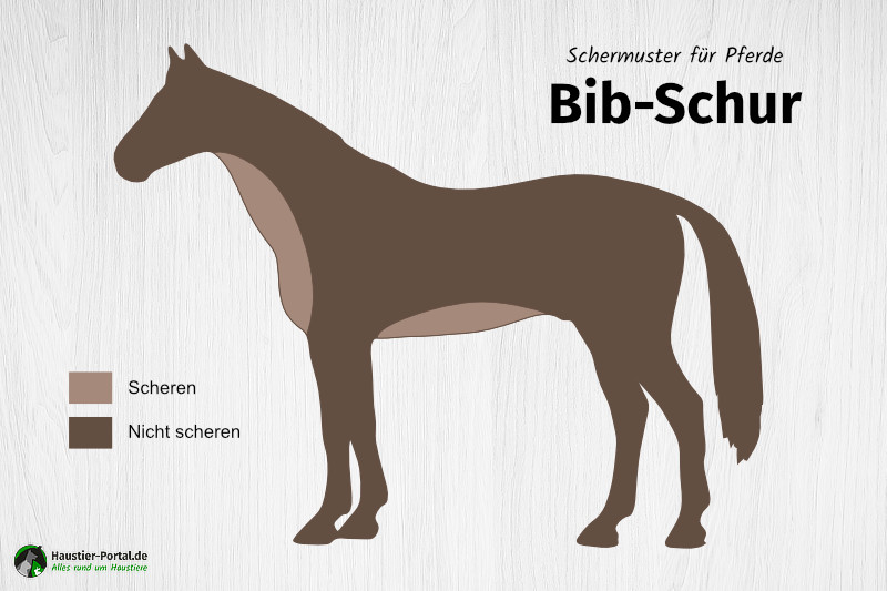 Bib-Schur als Schermuster für Pferde