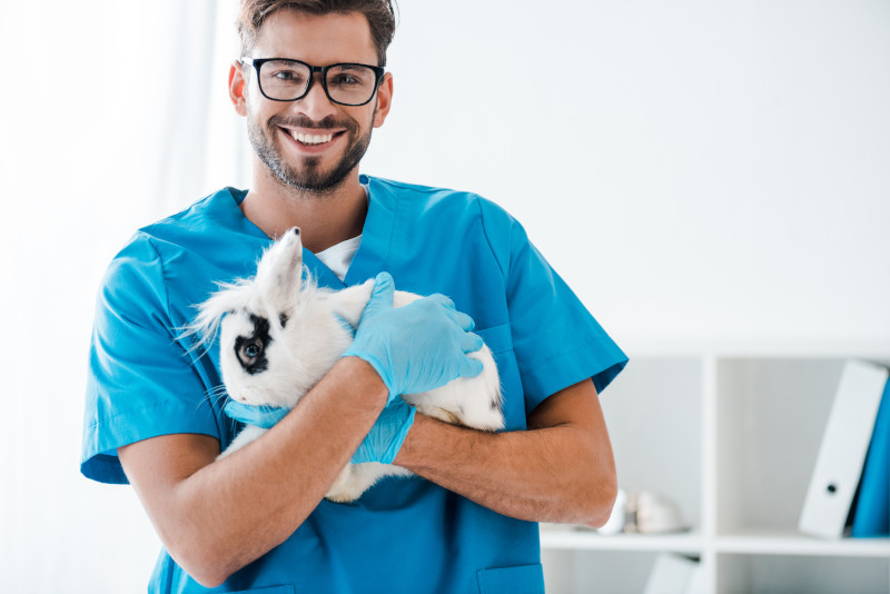 Eine Krankenversicherung für Kaninchen schützt vor hohen Tierarztkosten