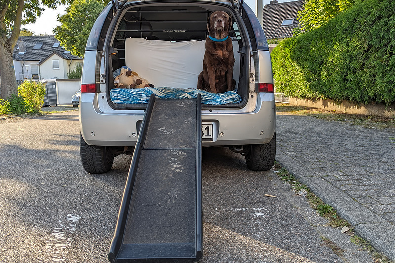 Eine Rampe hilft Deinem Hundesenior beim Ein- und Aussteigen aus dem Auto