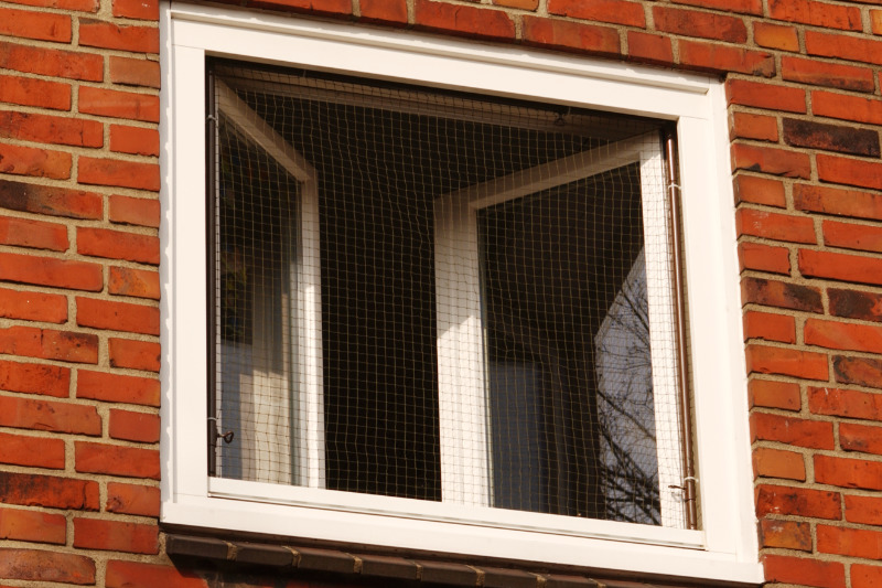 Fensterschutz Katze