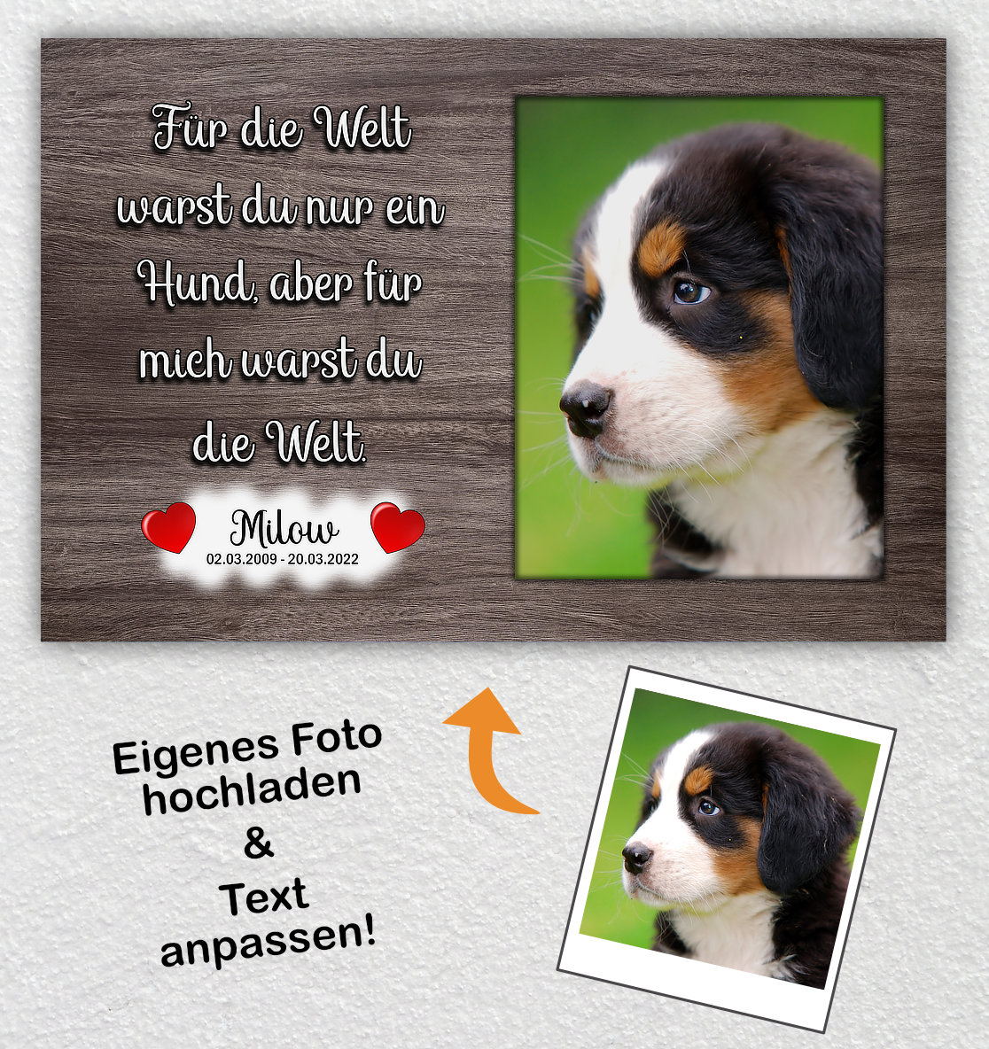 Kurze, lustige und nachdenkliche Hundesprüche