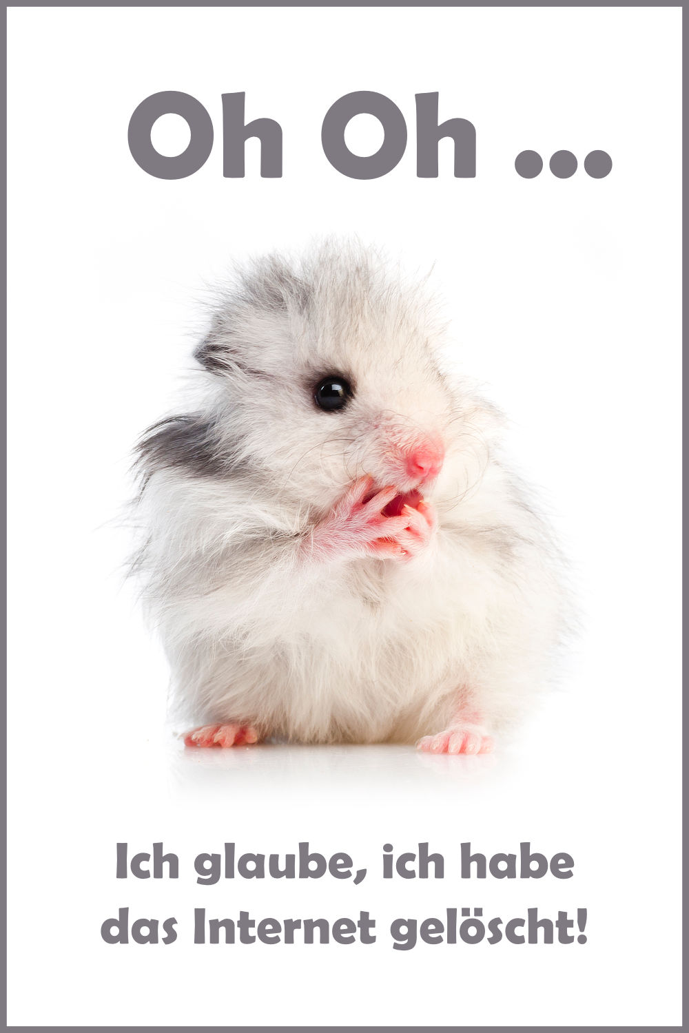 Schöne und lustige HamsterSprüche und Witze