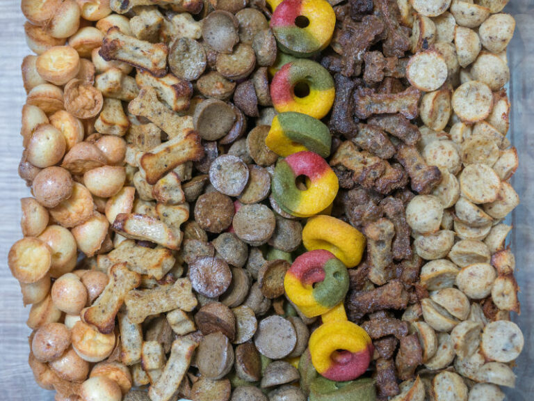 Haustier Portal de Der Haustierratgeber