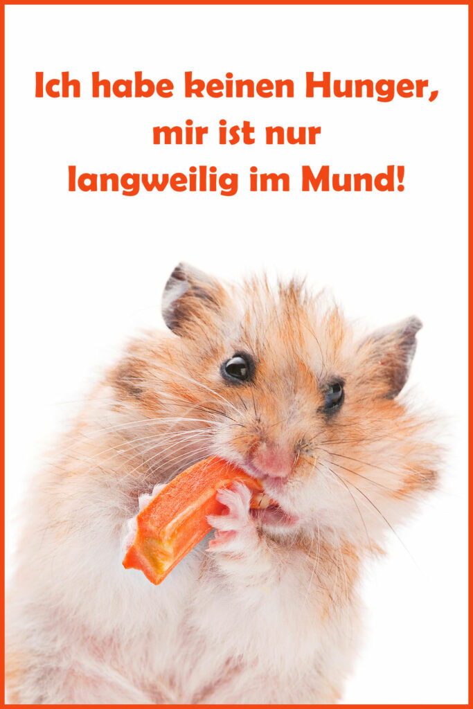 Lustiges Hamster Meme