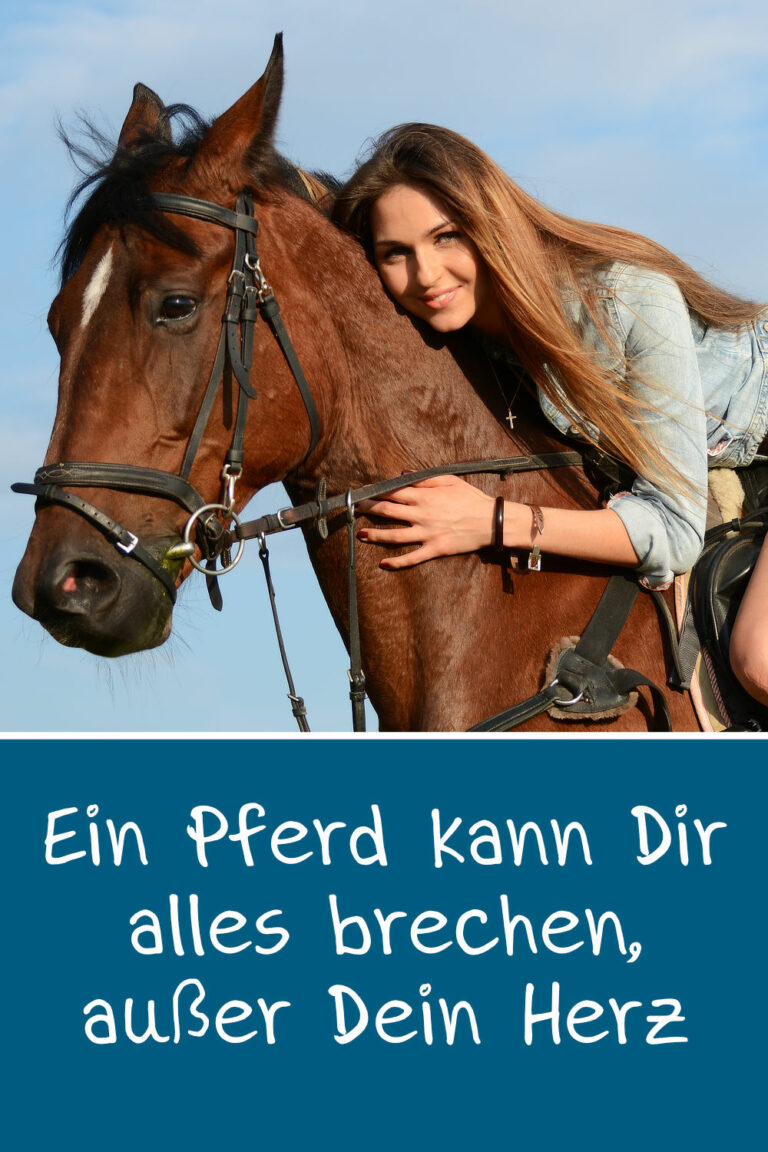 Schöne & lustige Pferdesprüche, Zitate und Weisheiten