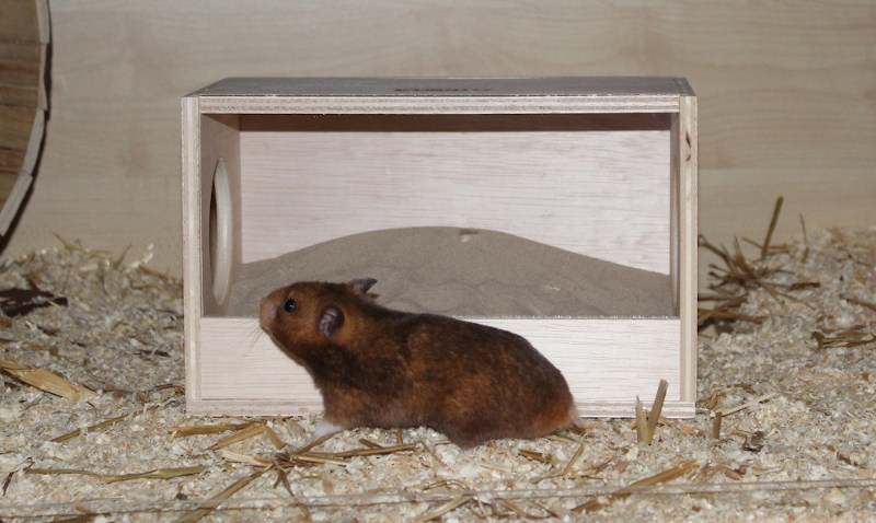 Sandbad - Das Badehaus für Hamster
