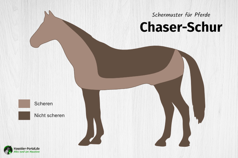 Schermuster Chaser-Schur