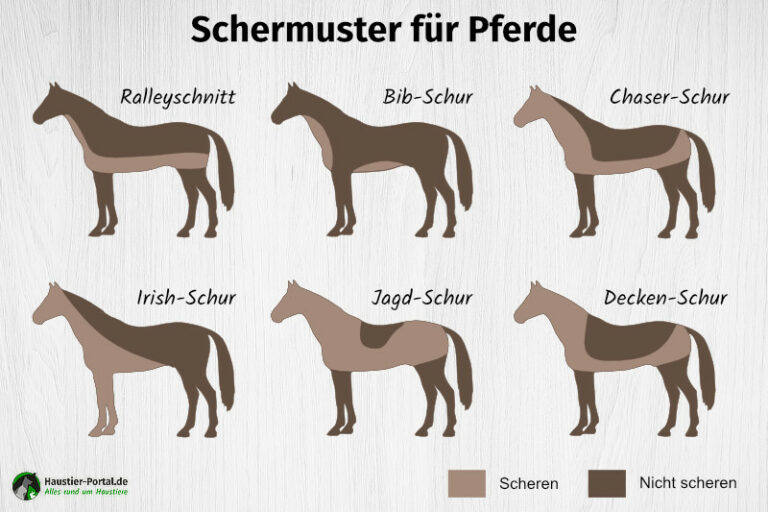 Haustier Portal de Der Haustierratgeber