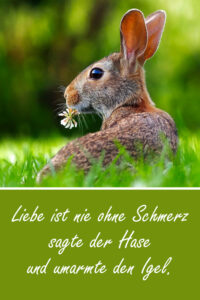 Freche, lustige und süße Kaninchen und HasenSprüche