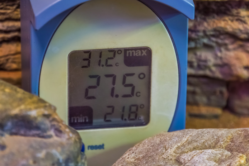 Temperatur und Luftfeuchtigkeit müssen im Wüstenterrarium ständig kontrolliert werden