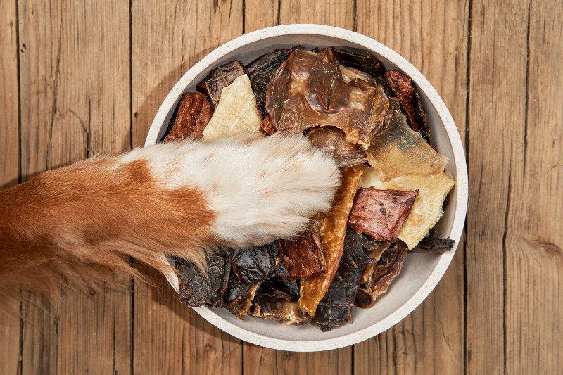 Trockenbarf als Alternative zu frischem BARF