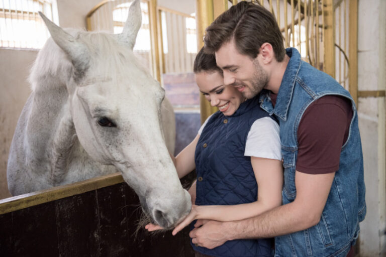 Haustier Portal de Der Haustierratgeber