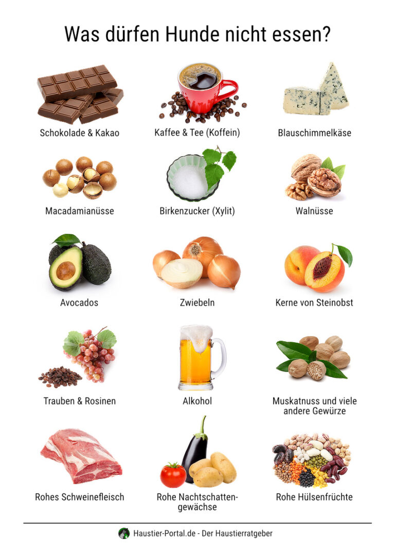Was dürfen Hunde nicht essen und was ist giftig?