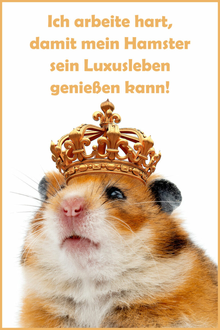 Schöne und lustige HamsterSprüche und Witze